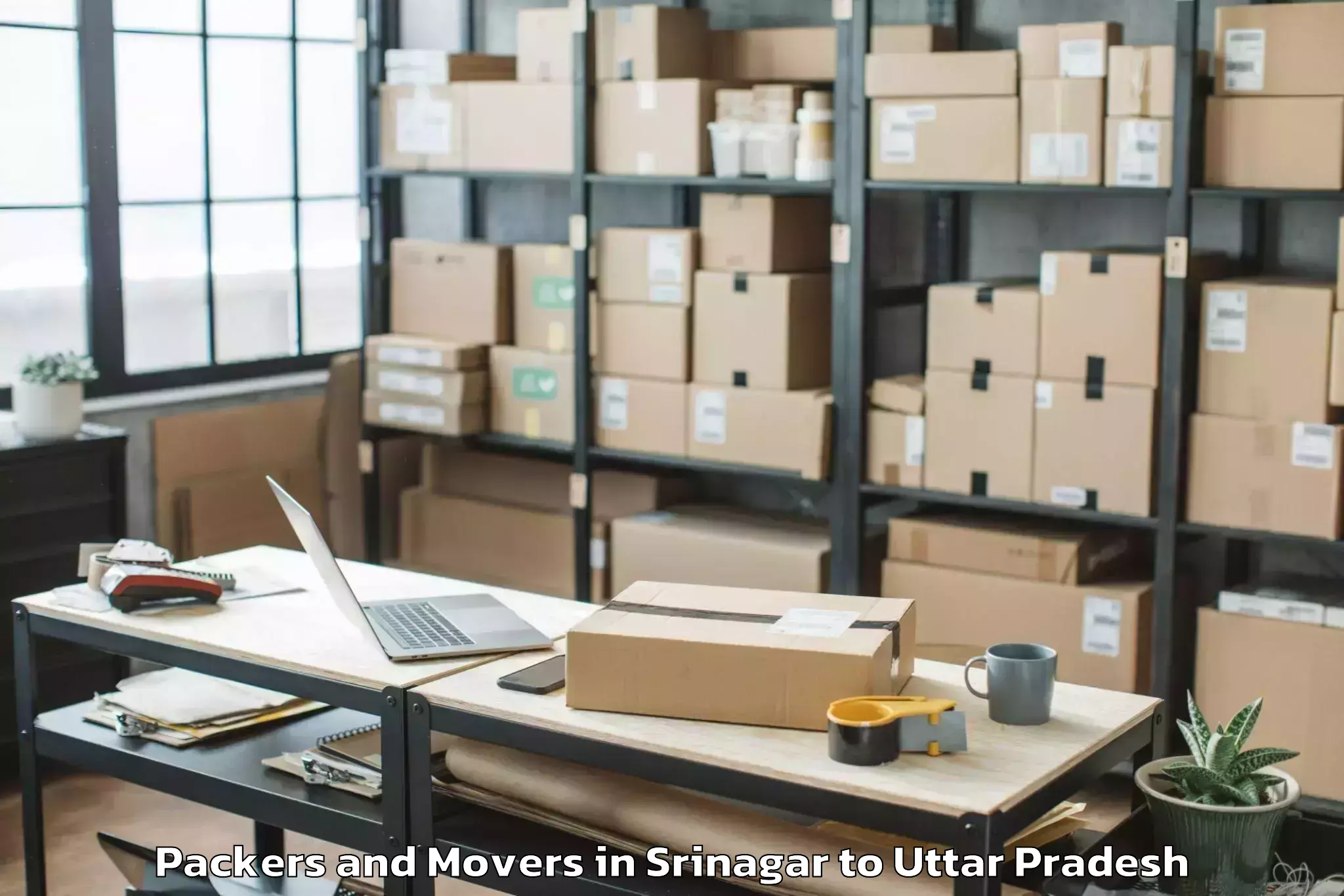 Professional Srinagar to Babrala Packers And Movers